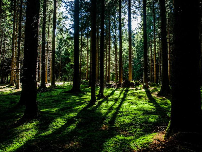 疯狂的麦克斯<br>lyv4augd.cn 荒漠飞车党